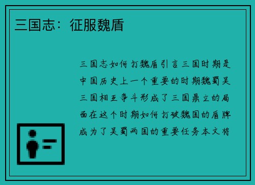 三国志：征服魏盾