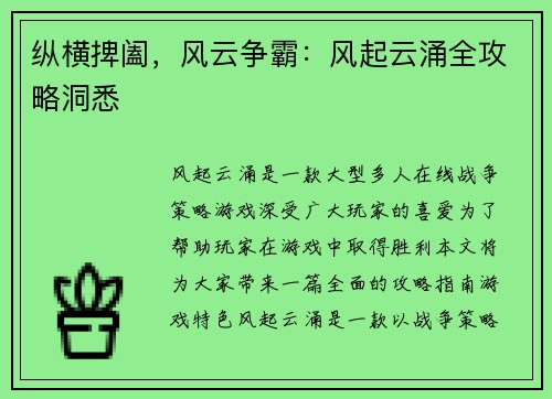 纵横捭阖，风云争霸：风起云涌全攻略洞悉